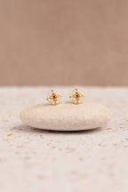 "Orecchini Frutti di Bosco"